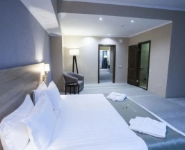 Двухместный люкс Superior двуспальная кровать в RENION PARK HOTEL