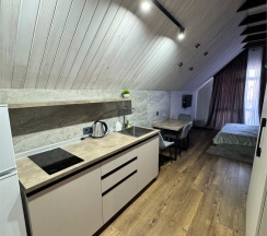 Номер 302. Studio room в Огни маяка