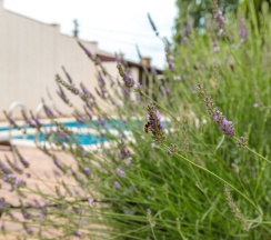 Шестиместный номер Economy в Прованс