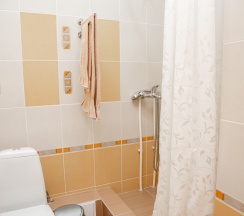 Одноместный номер в Пингвин