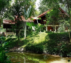 Номер Deluxe в Marisa Resort & Spa Chiang Dao
