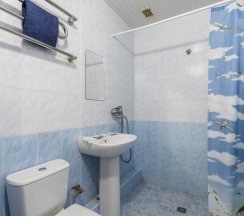 Комфорт в Светлый