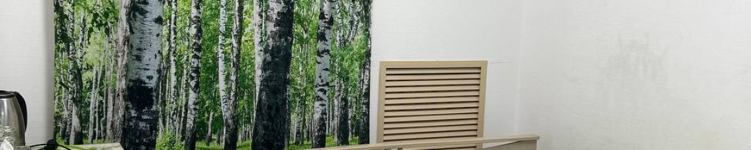 Двухместный номер с двухспальной кроватью с общей ванной комнатой в Берёза