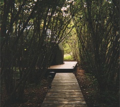 20 Forest-house в Apparadise