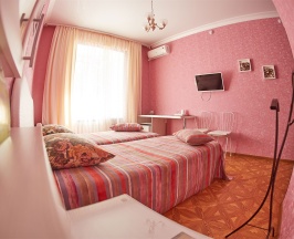 Двухместный стандарт №8 в Влада by richotels