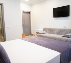 Делюкс 2х местный в Акрополь