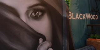 Омск: Мини-отель Blackwood