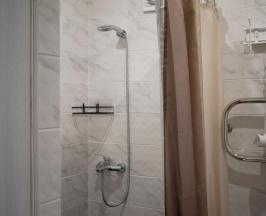 1-местная комната стандарт №2 в Wald Garten