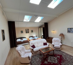 1 категория (улучшенный номер с мансардными окнами) в Hotel park river