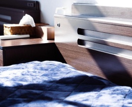 Двухместный номер Standard с видом на горы 2 отдельные кровати в Fuji Guest House Ao