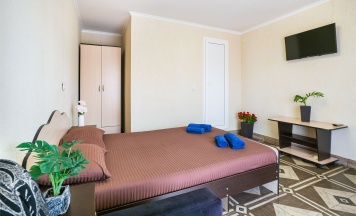 STANDART 2+1 доп место кресло в Анютины глазки