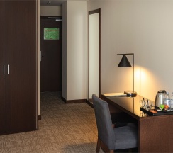 Business Double в Gorskiy city hotel