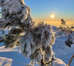 Шале в Высота 609