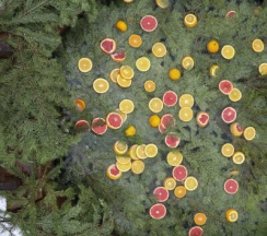 Garden-5 NEO | Банный чан в Барские Поля