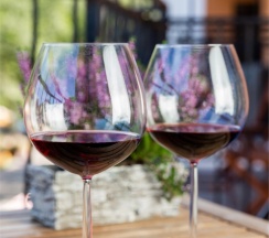 Апартаменты Делюкс в Лиенталь