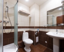 Стандарт двухместный TWIN в Отель Новый