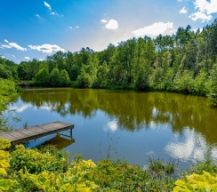 Коттедж стандартный с мангальной зоной в Веслево Клуб