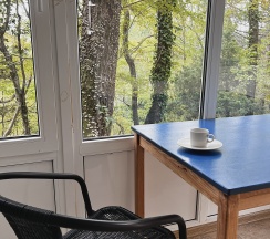 Номер двухместный улучшенный 25 "А" в Бирюза-Юг