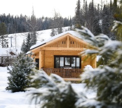 Деревенский домик (заимка-1) в Лесная сказка