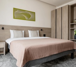 2-комнатный номер люкс с 1 двуспальной кроватью в GreenGate Hotel&SPA