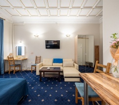 Комфорт в Александр Hotel