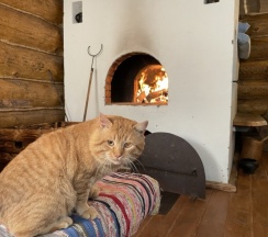 Коттедж №11 в Бабин двор