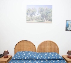 Одноместный номер Standard в Hotel Solara