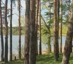 Дом 2 в Смородина