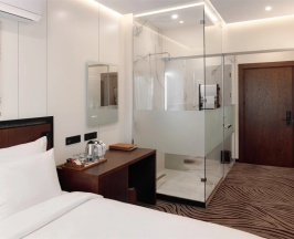Одноместный номер Deluxe Standard в Almaty