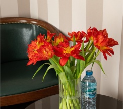 Одноместный номер в Martin Hotel