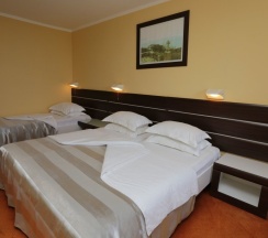 Трёхместный номер в Hotel Tara