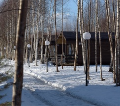 Тролль Дом M в Золотая долина