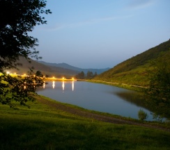 Номер в отеле в Басаргино