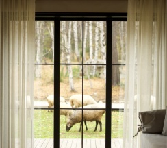 Домик в Саду  1 этаж в Долина мечтателей