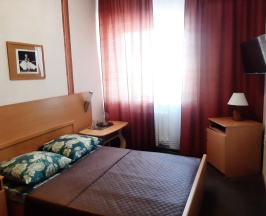 Номер комфорт с 1 двуспальной кроватью в Надежда