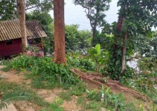 Бунгало с видом на сад в Rattana Bungalow