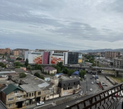 Д50 в SunDag