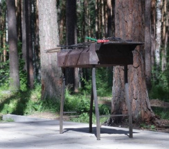 Барнхаус №2 с панорамой в ДухЛес