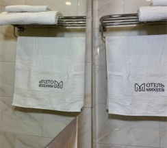 Премиум Двухместный в Отель Михеев