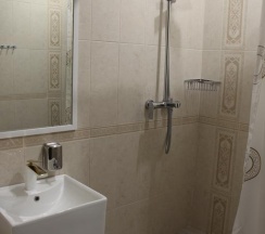 Номер стандарт с 1 двуспальной кроватью в Белые ивы