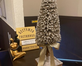 Номер полулюкс в Бестужев