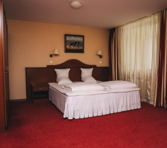 Номер люкс корпус Борвиха (с завтраком) в Борвиха hotel&SPA