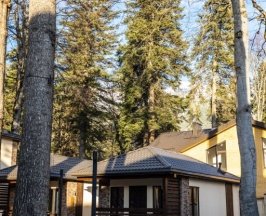 Шале в Ski Resort