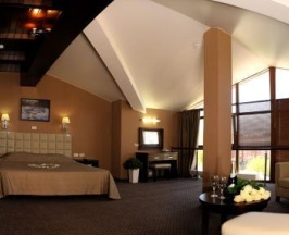 Номер студия (мансарда) в Hotel Kirov