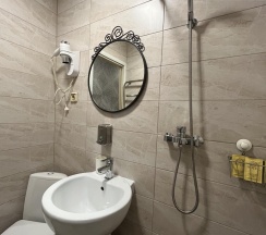 Комната стандарт с 1 двуспальной кроватью в Samsonov Hotels