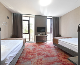 Twin Superior в Hunnu Hotel