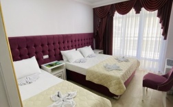 Трёхместный номер Superior с балконом и beachfront в Grand villa