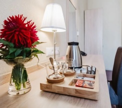 Двухместный номер Superior 2 отдельные кровати в Невский Гранд Энерджи