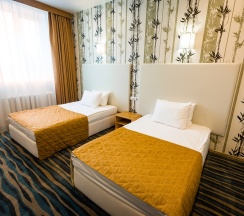Трехместный люкс в Дружба