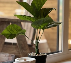 Дом в Eco house